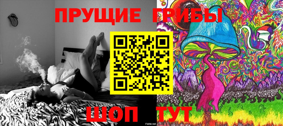 Мыски  Псилоцибиновые грибы прущие грибы  Псилоцибиновые грибы Psilocybine cubensis  Вход с VPN 